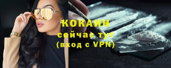 прущие грибы Михайловск