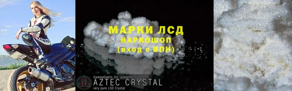 прущие грибы Михайловск