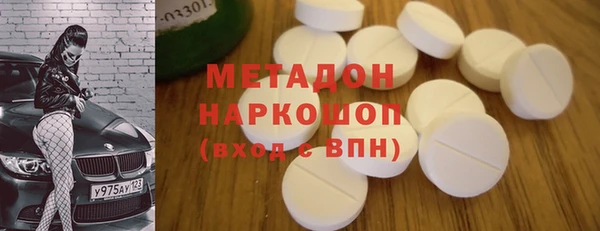 прущие грибы Михайловск