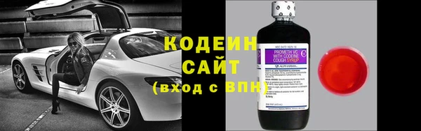 прущие грибы Михайловск