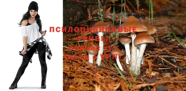 метамфетамин Абаза